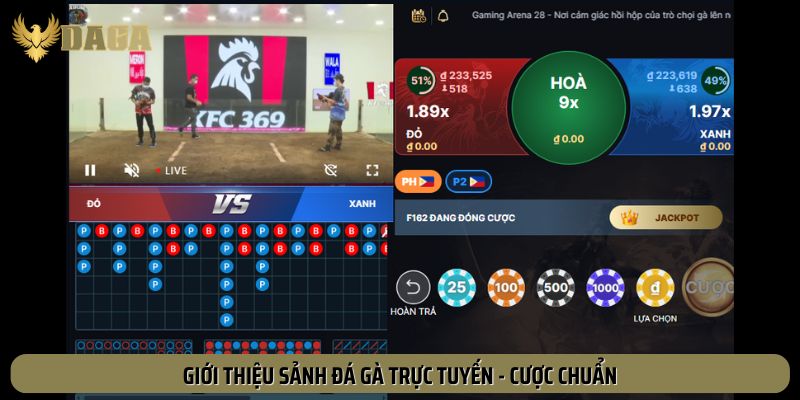 Sảnh đá gà trực tuyến - Cược chuẩn, thắng đậm từng trận